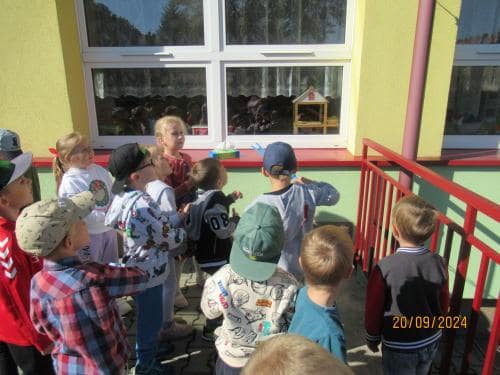 IMG 7558