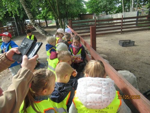 Minizoo-37