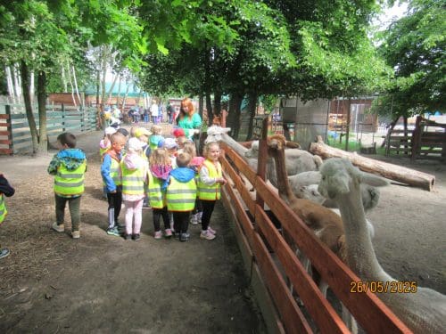 Minizoo-69